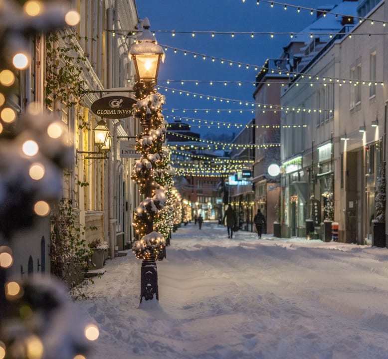 restauranger i landskrona